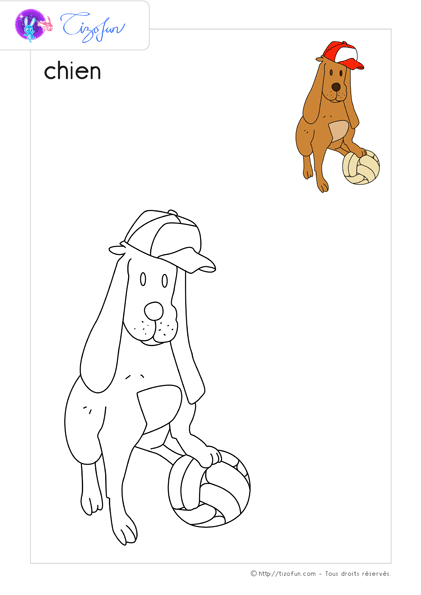 animaux-ferme-dessin-a-colorier-chien-coloriage-41
