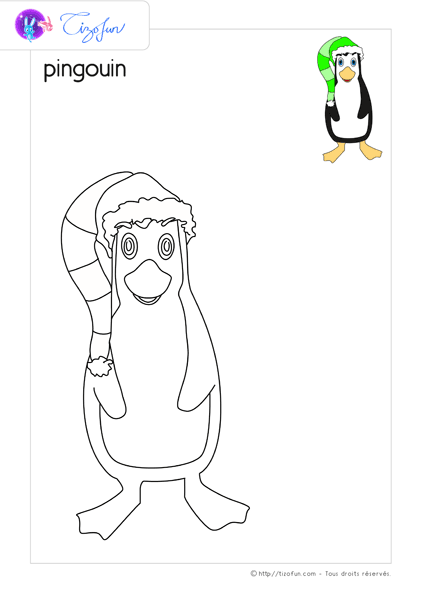 coloriage-oiseaux-dessin-pingouin