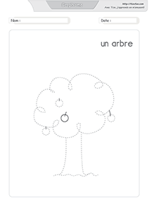 graphisme-dessiner-un-arbre-nature