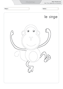 graphisme-dessiner-le-singe