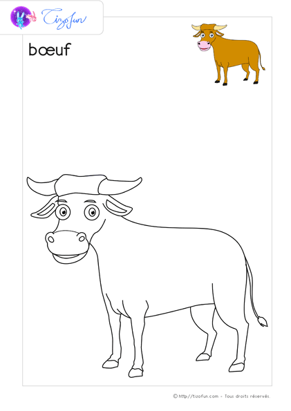 animaux-ferme-dessin-a-colorier-boeuf-coloriage-30