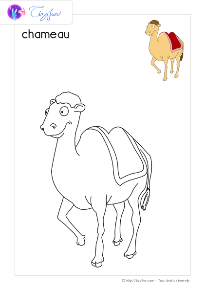 animaux-ferme-dessin-a-colorier-chameau-coloriage