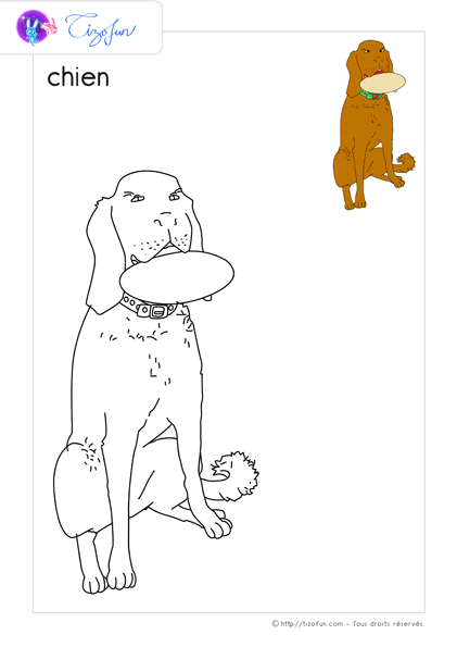 animaux-ferme-dessin-a-colorier-chien-coloriage-48