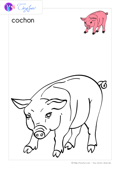 animaux-ferme-dessin-a-colorier-cochon-coloriage