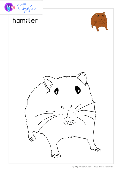 animaux-ferme-dessin-a-colorier-hamster-coloriage