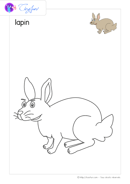 animaux-ferme-dessin-a-colorier-lapin-coloriage