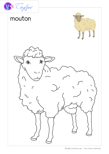 animaux-ferme-dessin-a-colorier-mouton-coloriage