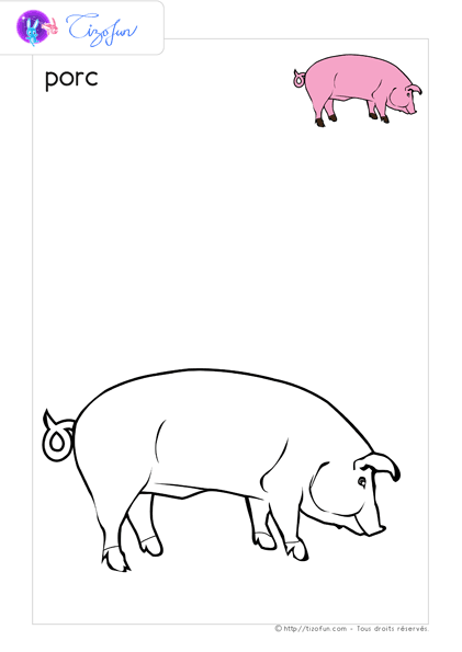 animaux-ferme-dessin-a-colorier-porc-coloriage