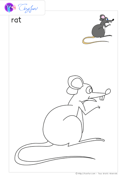 animaux-ferme-dessin-a-colorier-rat-coloriage