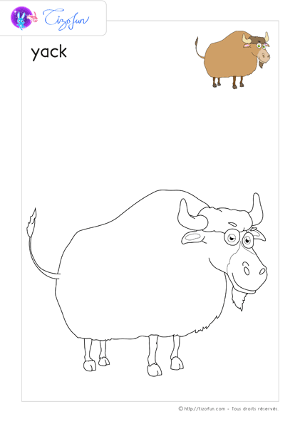 animaux-ferme-dessin-a-colorier-yak-coloriage