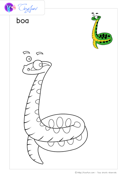 coloriage-animaux-sauvages-dessin-boa
