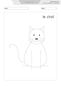 graphisme-dessiner-le-chat