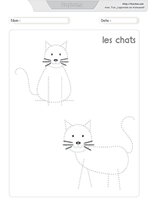 graphisme-dessiner-les-chats