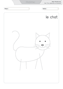 graphisme-dessiner-le-chat-animal-domestique