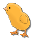 le poussin